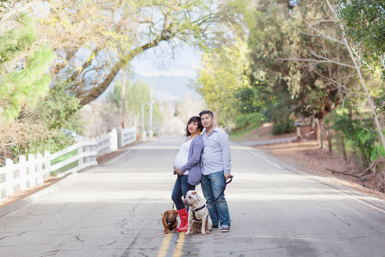 family maternity portrait with family dog at alviso adobe park