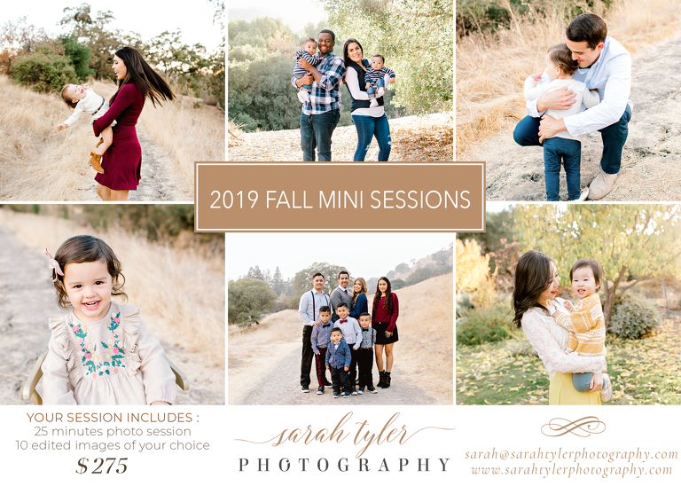 fall mini session flyer for the bay area