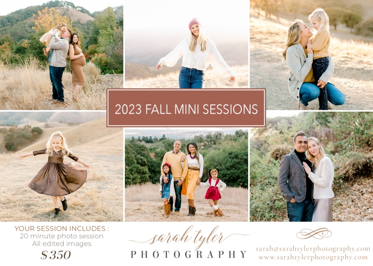 fall mini session flyer